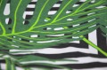 Pościel Bawełniana 160x200 Monstera Zieleń