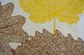 Pościel Bawełniana 220x200 Jesienne liście