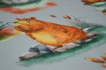 Pościel Bawełniana 160x200 Kapibara szare tło 3521