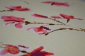 Pościel z kory 140x200 Magnolia tło krem 3525w