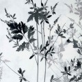 Pościel satyna bawełniana 220x200 SatynLove 1558/1