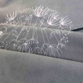 Pościel Bawełniana 180x200 Cottonlove 71504/1