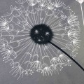 Pościel Bawełniana 220x200 Cottonlove 71504/1
