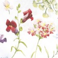 Pościel Bawełniana 160x200 Cottonlove 71507/1