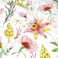 Pościel Bawełniana 180x200 Cottonlove 71508/1
